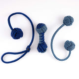 Bonsai and Cacti Blue Finger Play Pack | Toy Bundle ft. Begleri Knuckleroller Longshot | Skill and Fidget Toys