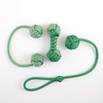 Bonsai and Cacti Green Finger Play Pack | Toy Bundle ft. Begleri Knuckleroller Longshot | Skill and Fidget Toys