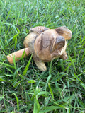 Wooden Animals - Percussion and Wind Musical Instruments