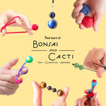 Bonsai and Cacti shop toys curiosities and apparel