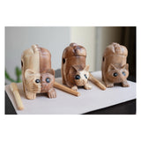 Wooden Animals - Percussion and Wind Musical Instruments