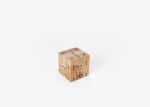 Bonsai and Cacti Curiosities Cubebot® - Julien