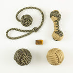 Bonsai and Cacti Toys Golden Stress Relief Pack | Toy Bundle ft. Boli Longshot Knuckleroller