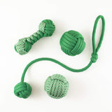 Bonsai and Cacti Toys Green Stress Relief Pack | Toy Bundle ft. Boli Longshot Knuckleroller
